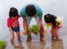 パパおしえて！