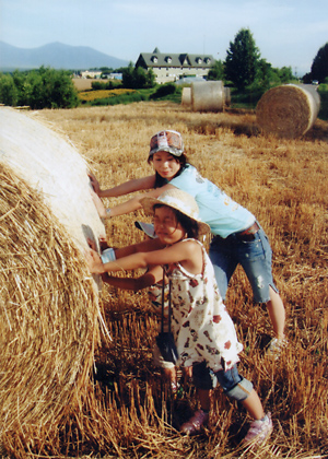 思いきり転がしてみたい!