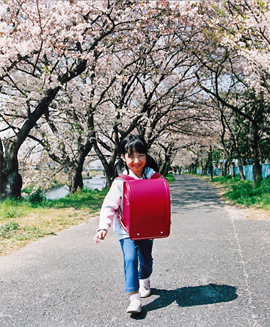 ピッカピッカの一年生