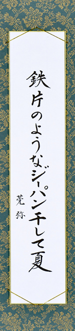 鉄片のようなジーパン干して夏