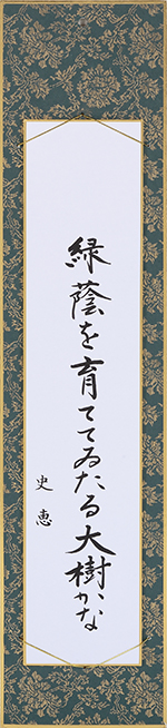 緑蔭を育ててゐたる大樹かな
