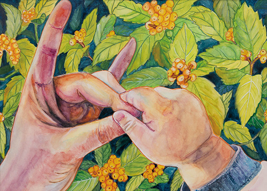 コンコンちゃん