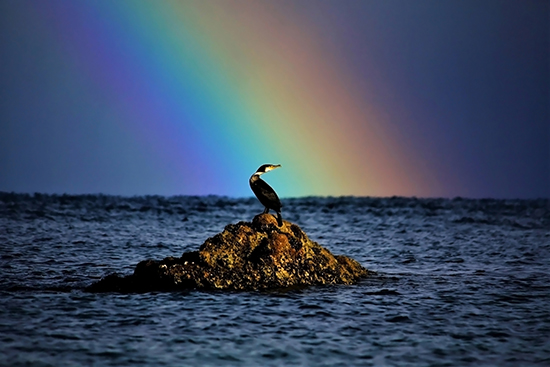 同じものを見ている