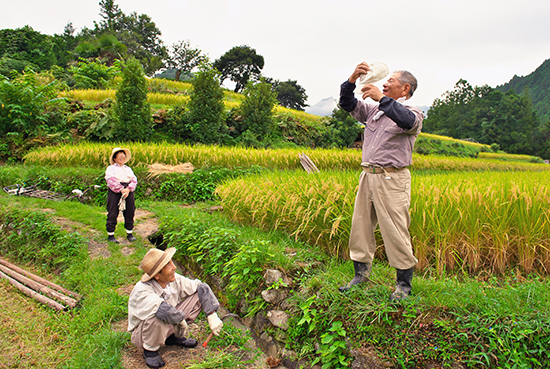 実りの季節を迎えて