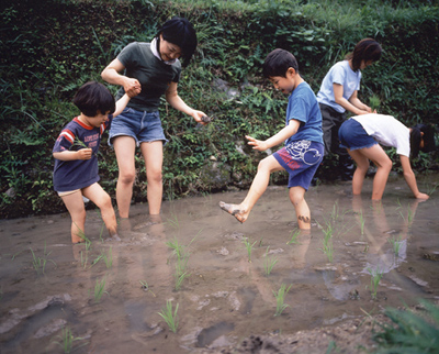 初めての田植え