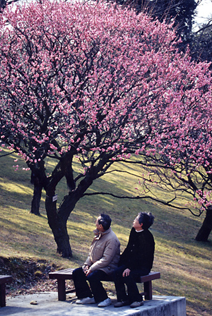 早春