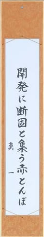 開発に断固と集う赤とんぼ