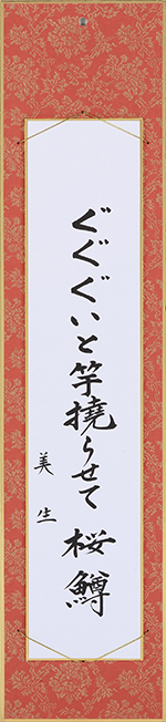 ぐぐぐいと竿撓らせて桜鱒