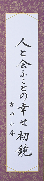 人と会ふことの幸せ初鏡