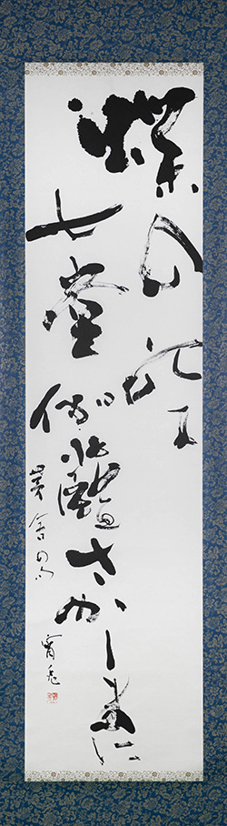 蝶