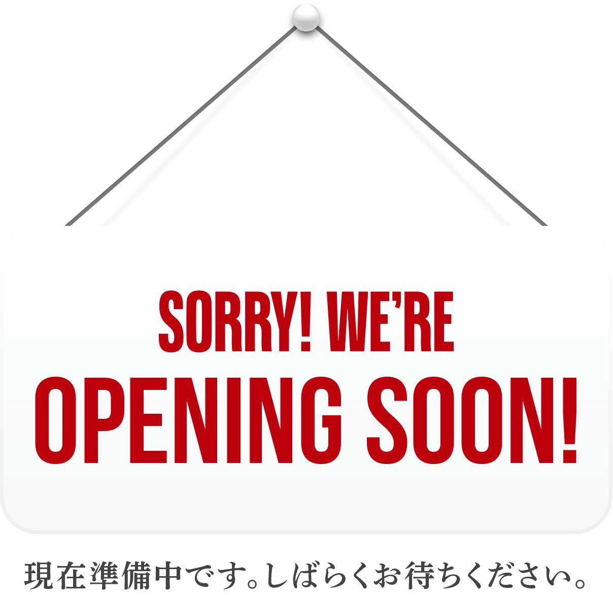 現在準備中です