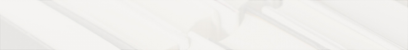 出版・広報事業